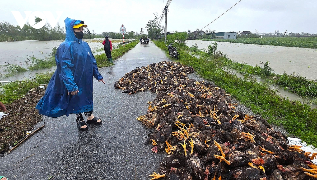 Nghệ An tứ bề ngập lụt sau bão số 10